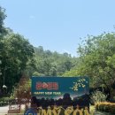 호이안가볼만한곳 미선유적지 자유여행 가격, 그랩, 소요시간, 준비물 후기