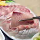 회향 | 내 기준 1등 춘천 횟집 <회향>