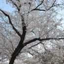 옥포읍보건지소 이미지