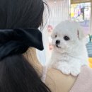 쏘마일 이미지