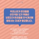 플러스동물의료센터 이미지