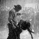 짬뽕주의 이미지