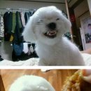 치킨앤