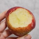 달코미 - 서구 관저중로 86-1 | 성주달코미 신비복숭아 왕특 2kg 후기