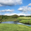 블랙스톤제주CC(대중형 18홀) | 제주 블랙스톤CC + 엘리시안CC 1박2일 36홀 패키지⛳ 품격 있는 라운드의 정점