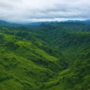 방글라데시의 숨겨진 초록 언덕 - 방글라데시 남동부 반다르반 이미지