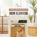 Dr.펫 네이버블로그
