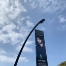 올스테이인 이미지