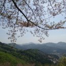 청산 Daum카페