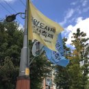 jmp그래픽 네이버블로그