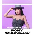 슈거댄스학원 이미지