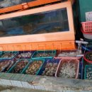 호남회조개구이·찜 이미지