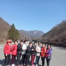 백양사(천안) 이미지