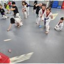 참사랑태권도 이미지