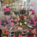 가든 피어 | 대전봉명동꽃집 글로리가든플라워 | 어버이날 카네이션 가격 후기