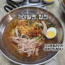 합천 드라이브 중 들른 밀면 맛집, 가야밀면 후기