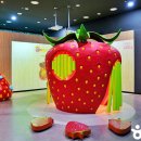 거함대로 이미지