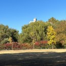 올림픽공원-북2문(옥외화장실) 이미지