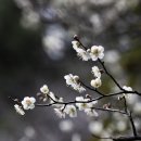 금호동 장미아파트 이미지