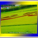 청주스크랩 이미지