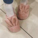 롯데마트성정점 이미지