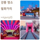 월화공원(부흥마을) | 강릉 여행 산책 코스 월화거리 야경 중앙시장 풍경