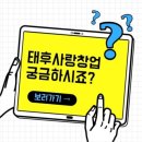태후사랑염색방 이미지