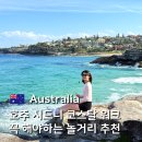 두곡교 뒤 (다리중간) | 시드니 코스탈워크 | 쿠지 비치 -> 본다이 비치 코스 소개 및 소요 시간 &amp; 후기