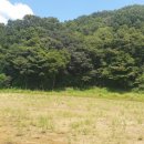 쉐마키즈학원 이미지