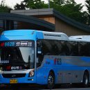 수정화물 이미지