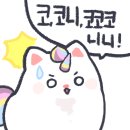 콘이코니