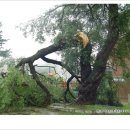 둔내초등학교 이미지