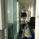 목화(2차) 이미지