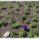 동두천역 이미지