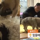 대승솔루션 이미지