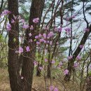 오늘 다녀온 경남 창녕 화왕산(758m) 산행 후기 – 해는 안 뜨고 바람은 불고, 딱 좋았던 날