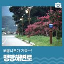 맹방해변로 이미지