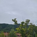 가평파크골프장 | 가평 더스테이힐링파크_커피트리 숙박/ 일요일 링스파3 골프장, 스파 후기