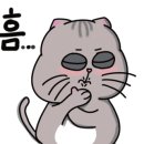 베리나이스 이미지