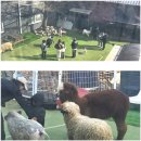 [남양주] 아이랑 나들이 - 옴뇸뇸 까페, 7살과 4살 둥이 리얼후기와 꿀팁