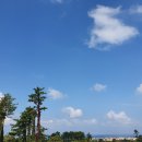 용담1리 | 제주 올레길 코스 추천 제주도 올레길 17코스 걷기