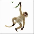 제일경희한의원 이미지