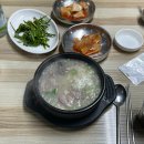 문헌화방 | 1월 2주 기록