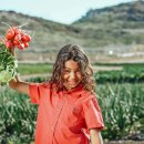 Happy Farm 이미지