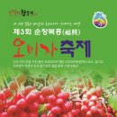 복흥면 체육공원 이미지