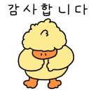 얌이크케이크