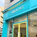 광주 고양이분양 브로스펫 이미지