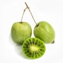 우리아이약국 이미지