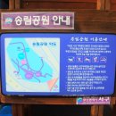 송림카 이미지