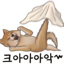 스시쿄다이 이미지